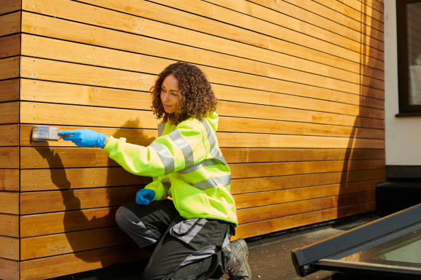 Best Siding Removal and Disposal  in Bellwood, PA